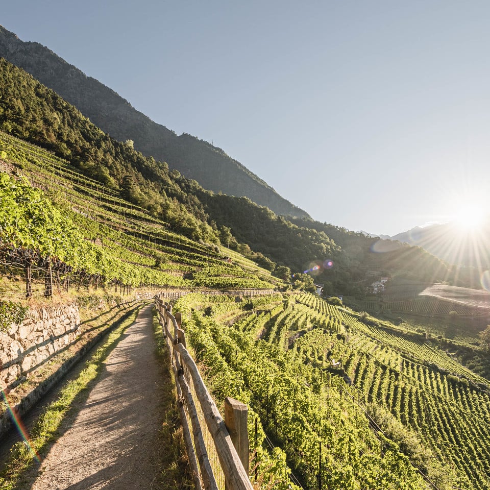 Il viaggio delle roggia sotto un sole scintillante