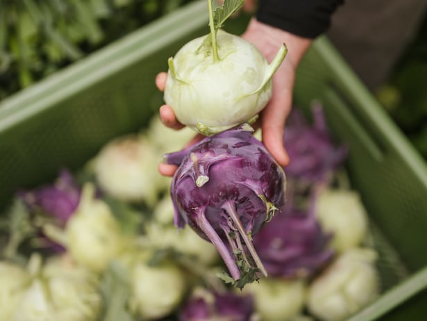 Specialità casearie di produzione locale