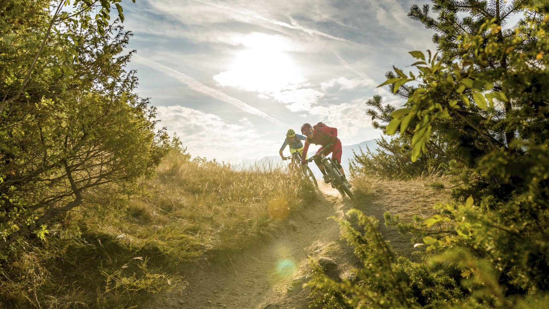 From forest path to mountain trail