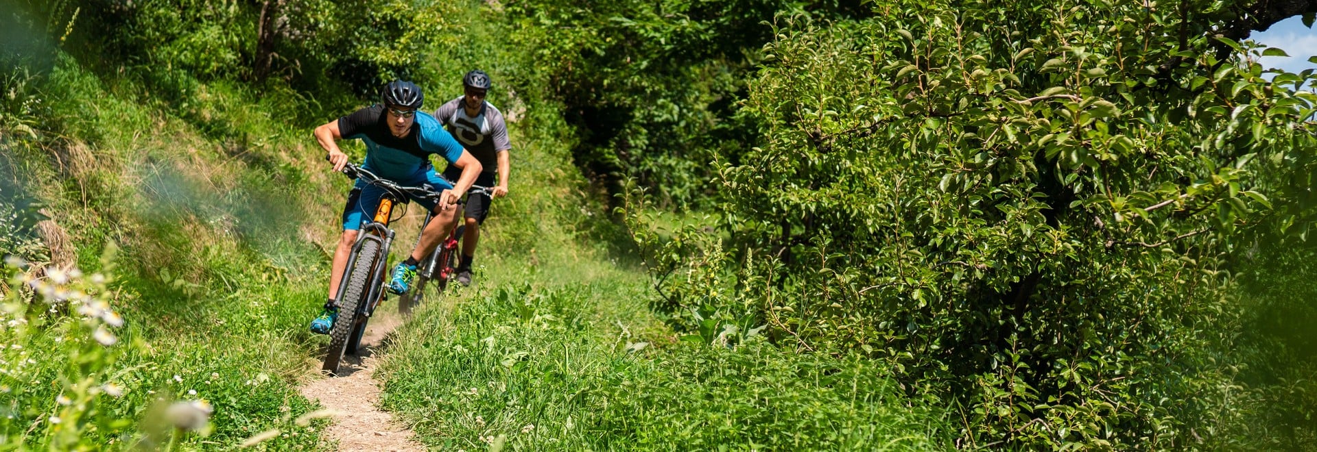 Biketouren