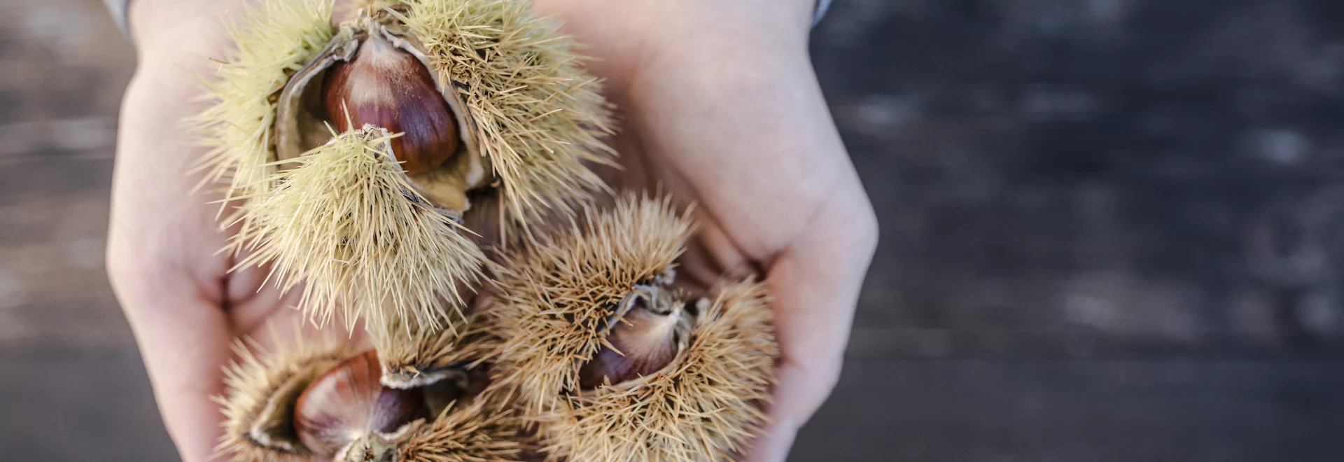Chestnuts