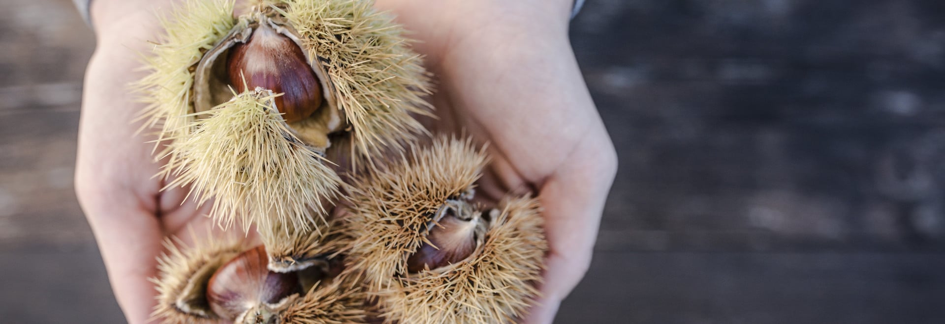 Chestnuts