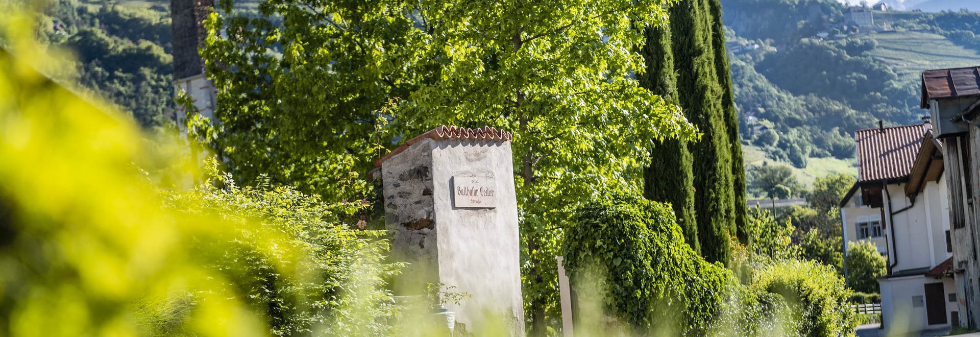 In the middle of the village, in the middle of the green