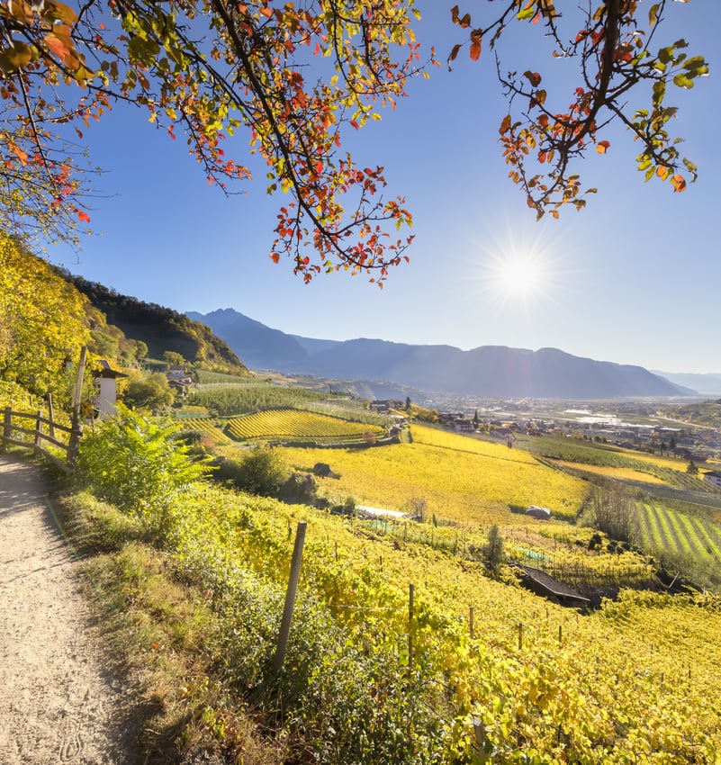 Die Talaussicht Algunds, Grüne Weiten