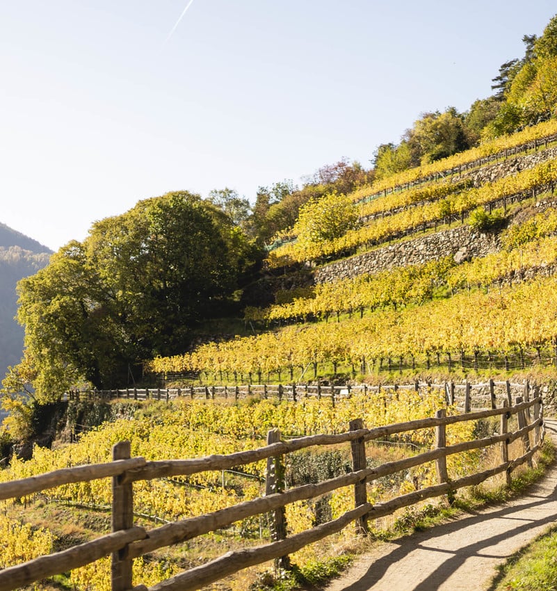 La valle vista Algunds, distese verdi