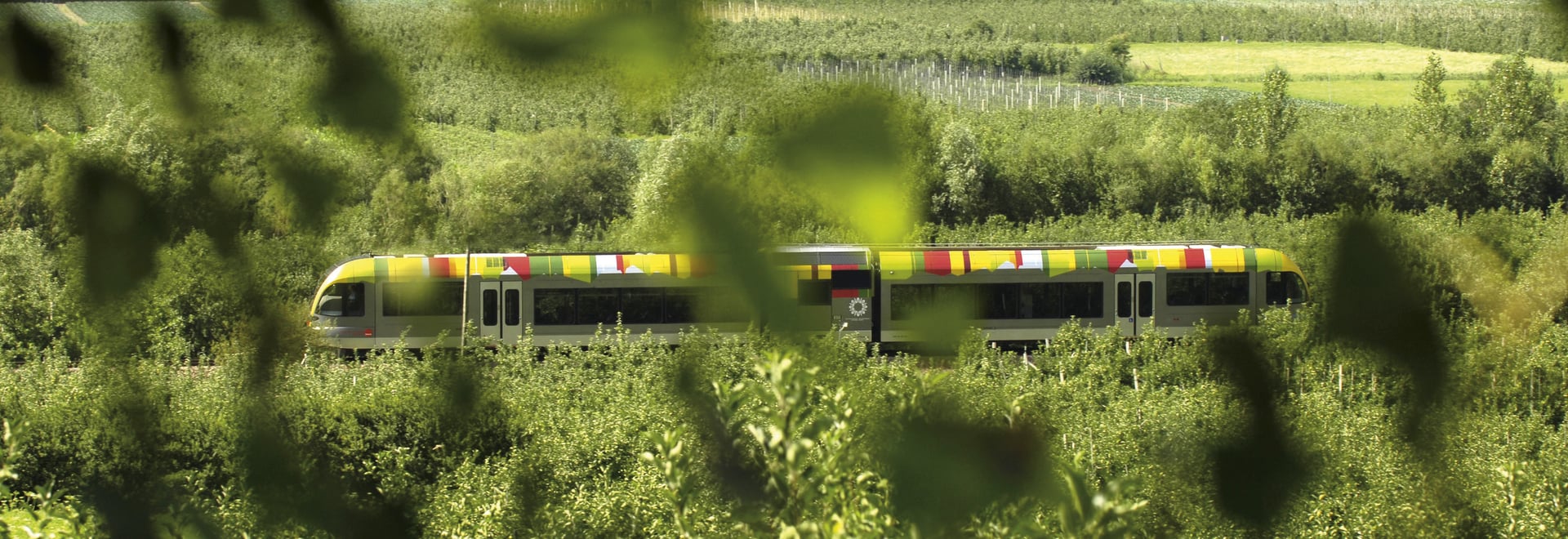 Die Vinschger-Bahn im Grünen