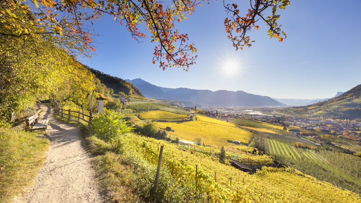 Die schöne Farbenvielfalt des Südtiroler Herbsts