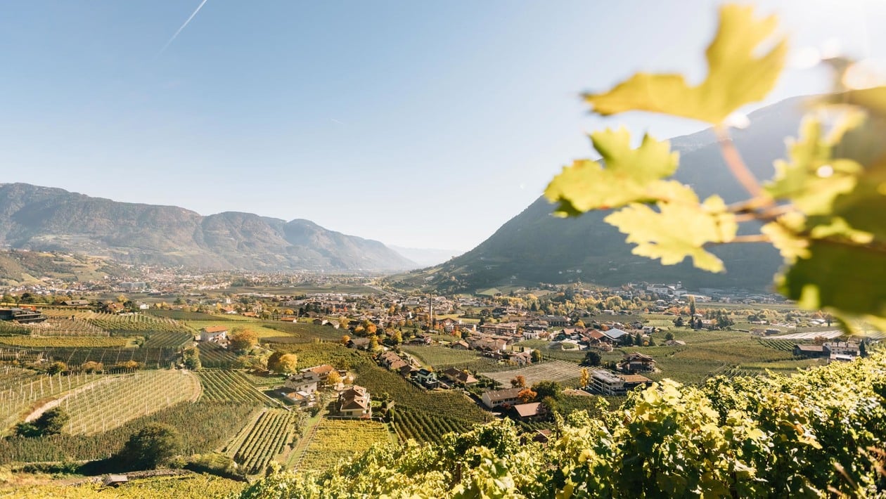 La splendida varietà di colori dell'autunno altoatesino