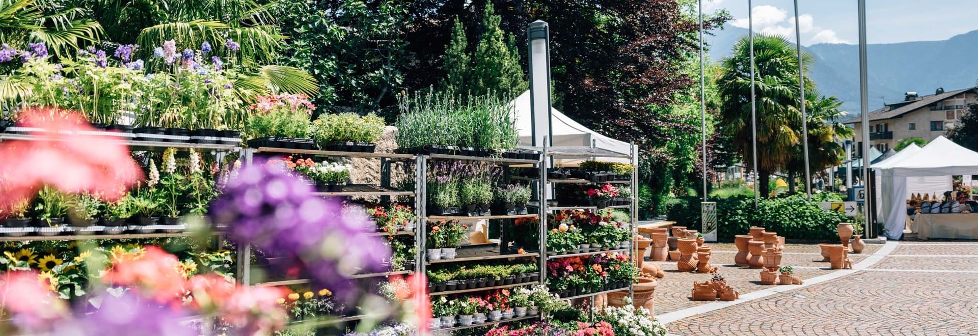 Gartenflair Markt Algund, der duft von Frühling