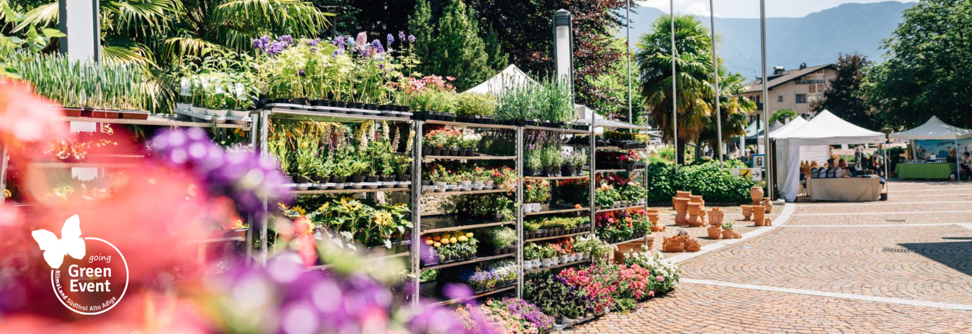 Garden flair market Algund, the scent of spring