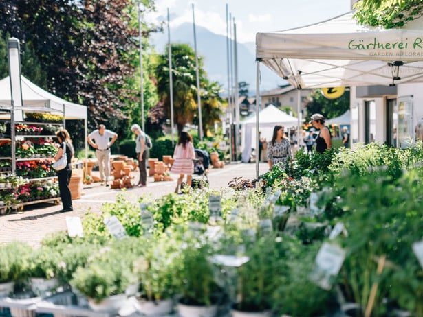 Gartenflair Markt Algund, der duft von Frühling