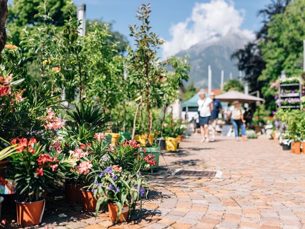 Gartenflair Markt Algund, der duft von Frühling