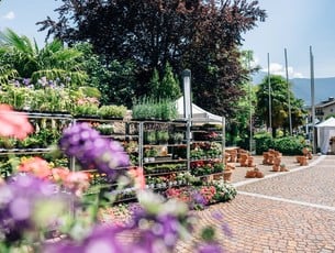 Mercato del giardino a Lagundo, il profumo della primavera