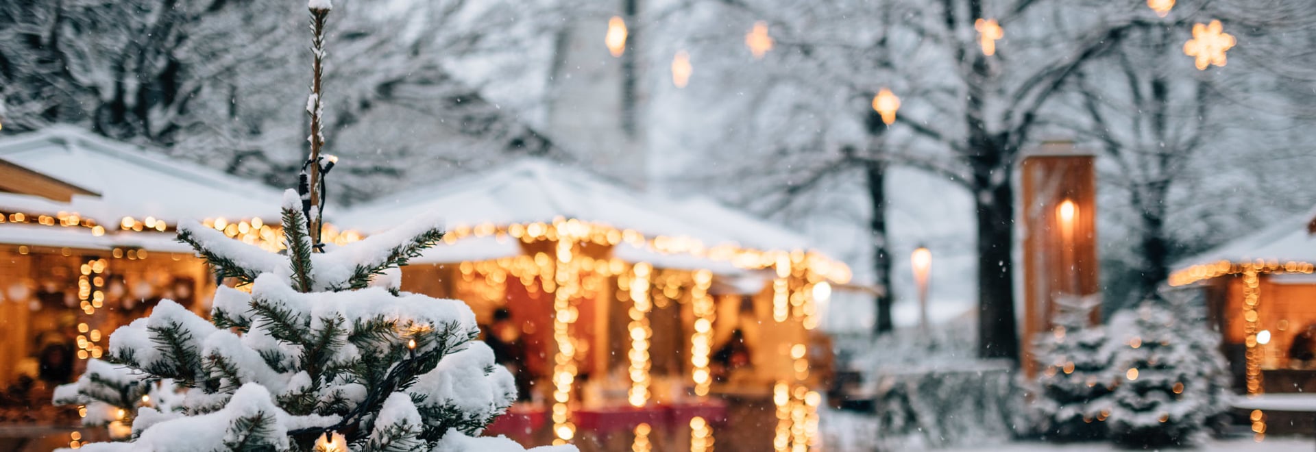 Der Algunder Weihnachtsmarkt ganz in Weiß