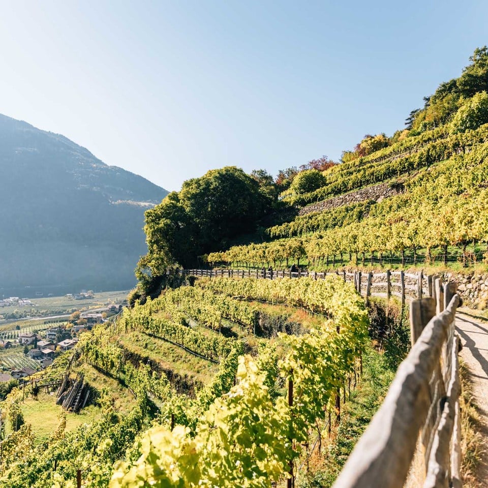 La roggia in estate