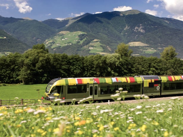 Vinschger Bahn fährt inmitten von Blumenmeer