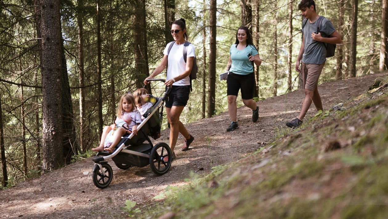 Wälder in Aschbach