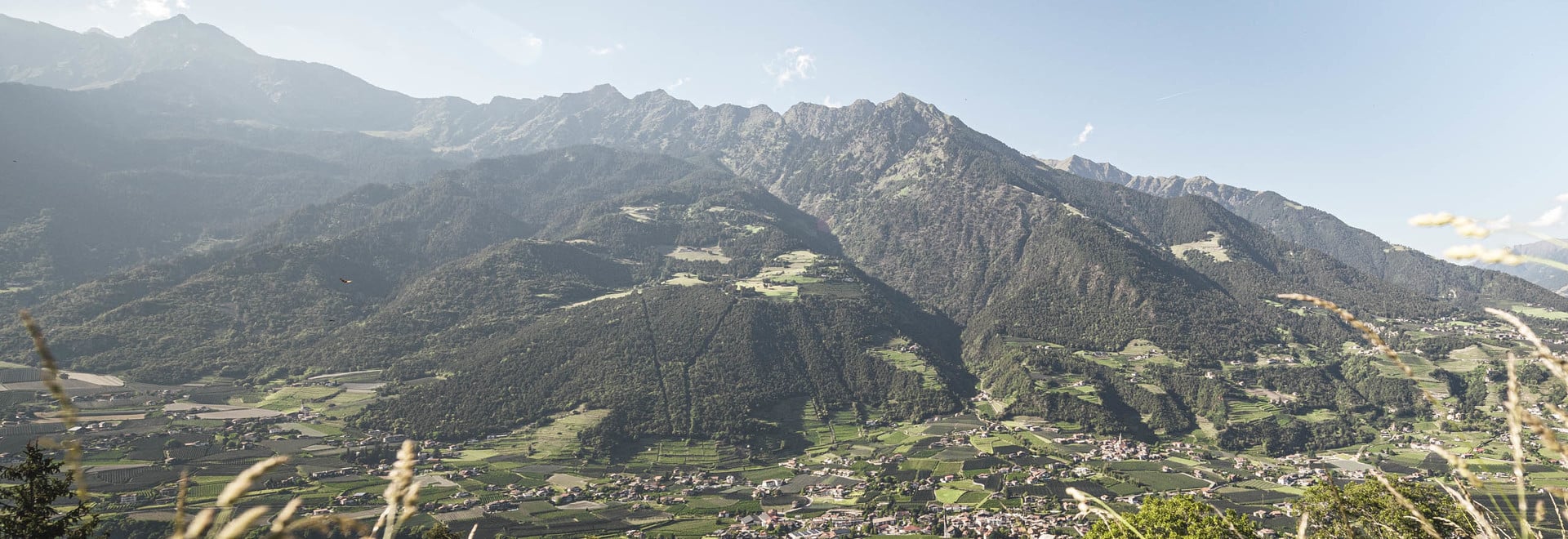 Algund and its "7 Dwarfs"