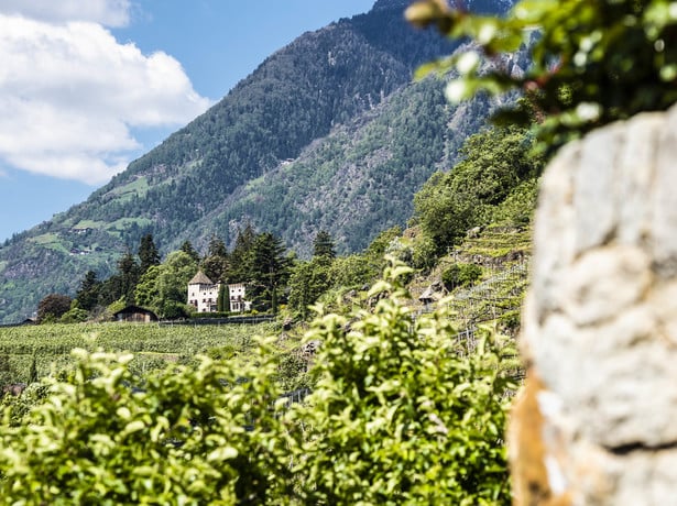 ​ Mitterplars im Gartendorf Algund​