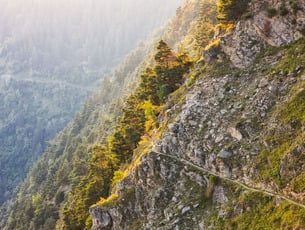 Der Vellauer Felsenweg