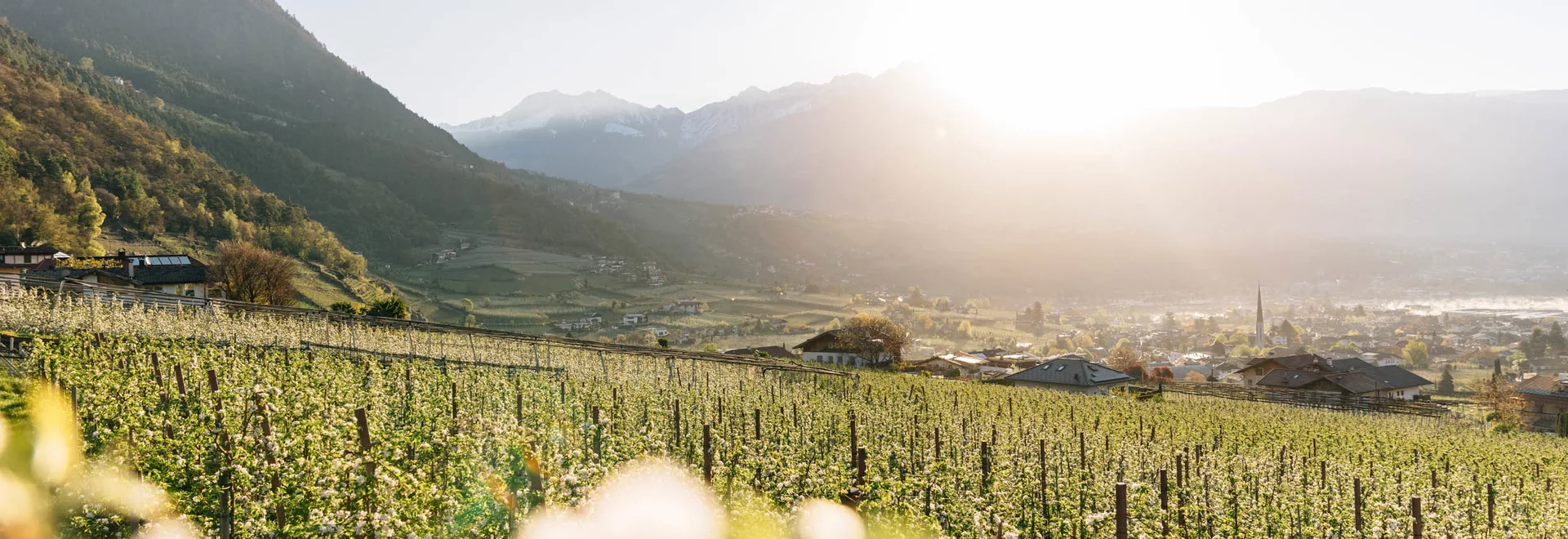 La TOP 5 delle cose da vedere a Lagundo