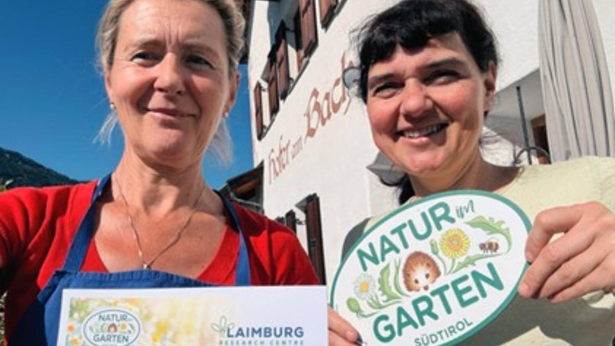 Beschreibung der Tierwelt der Weinreben und ihren Steinmauern