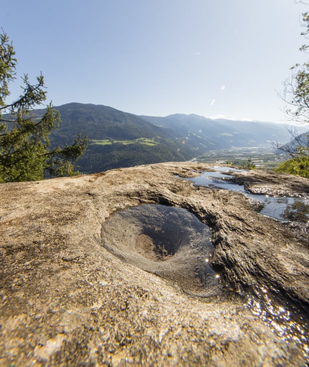 Weinpergeln, Flaumeichen und rätselhafte Knottn