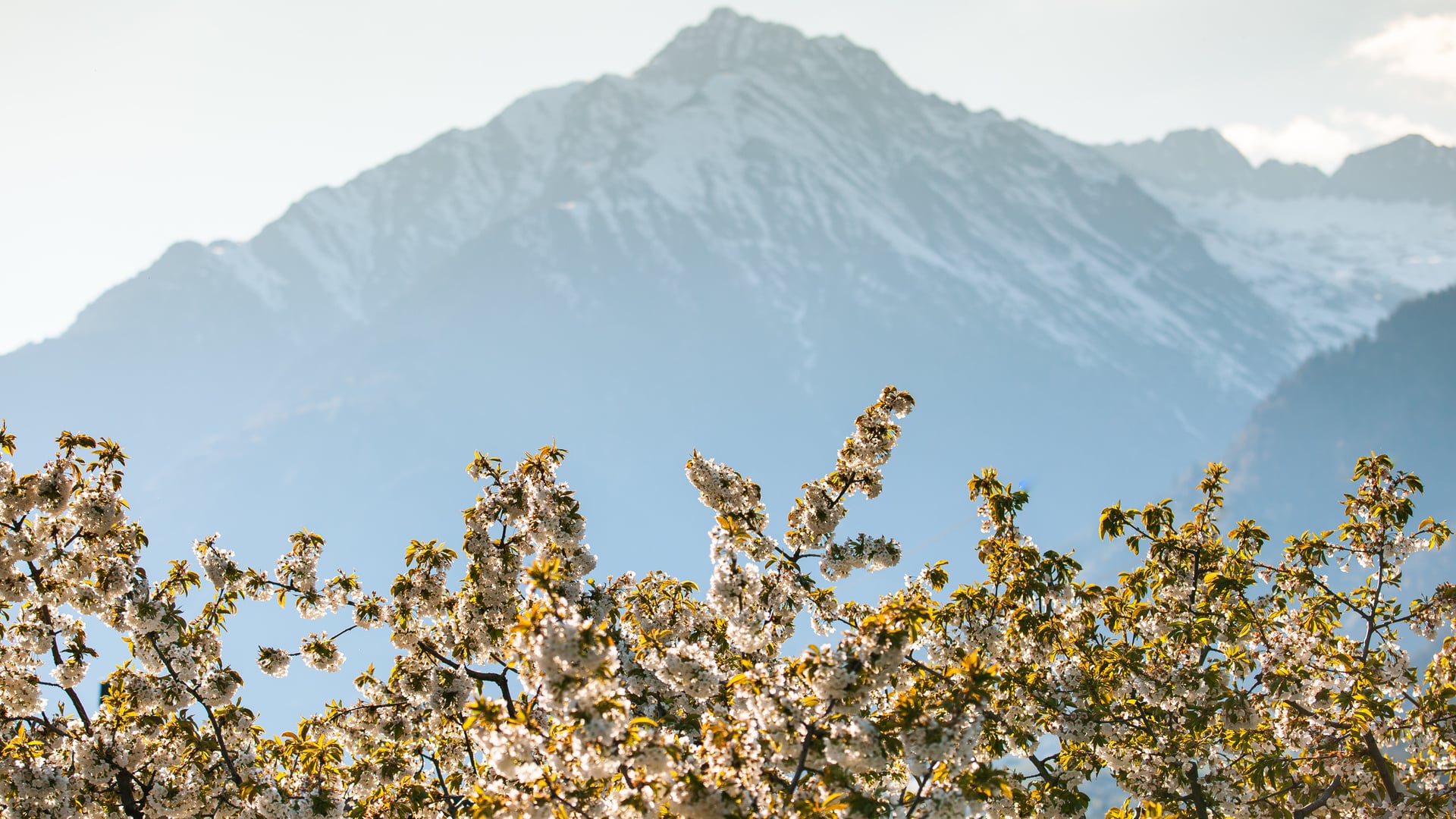 Die Berge in farbigem Herbstkleid