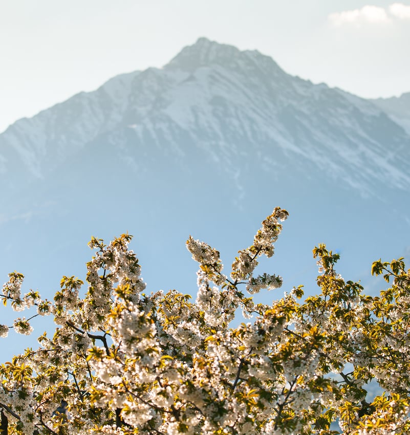 Die Berge in farbigem Herbstkleid