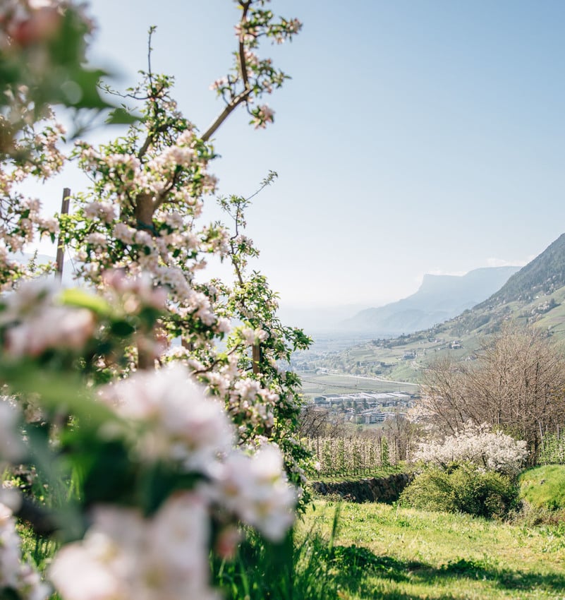 Die Berge in farbigem Herbstkleid