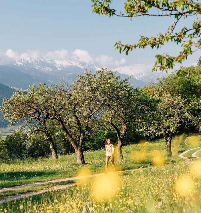 Primavera a Lagundo