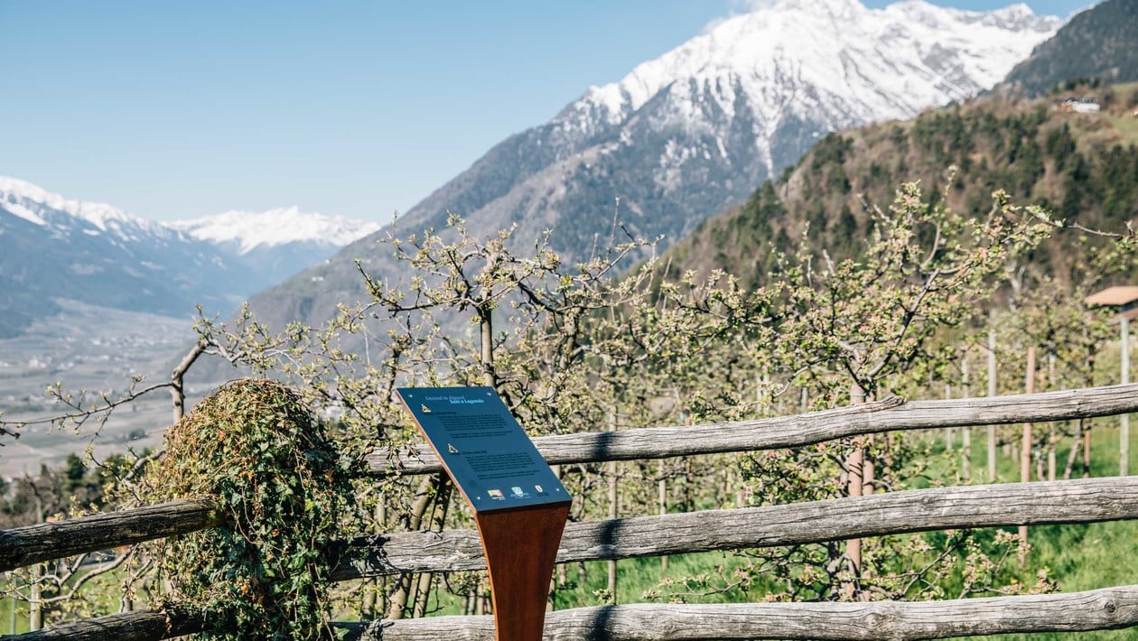 Lagundo: percorso Kneipp in Alto Adige​