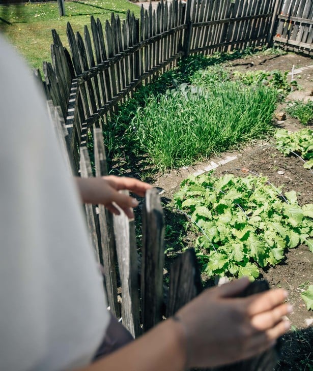 Giardini di erbe aromatiche a Lagundo