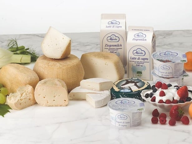 Alpine dairy Algund