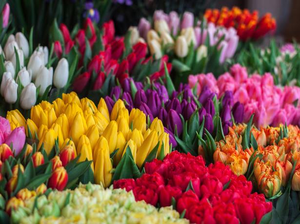 Gardening Unterweger - Algund